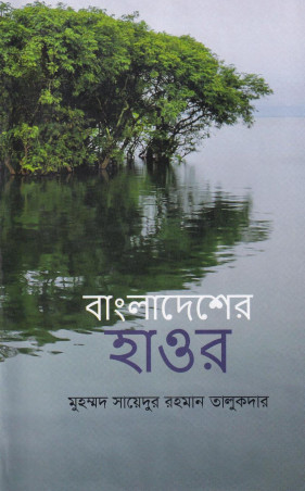 Image Description